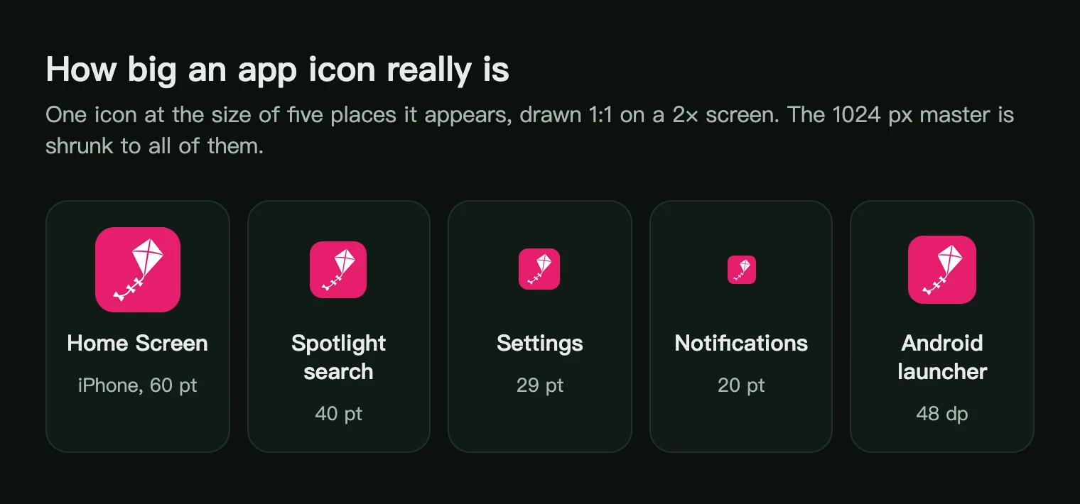 One pink kite app icon drawn at its real sizes: Home Screen 60 points, Spotlight 40, Settings 29, notifications 20 and Android launcher 48 dp