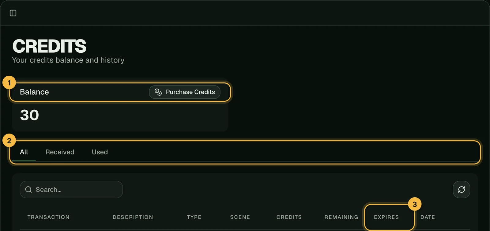 The credits page with the balance, the All, Received and Used tabs, and the Expires column